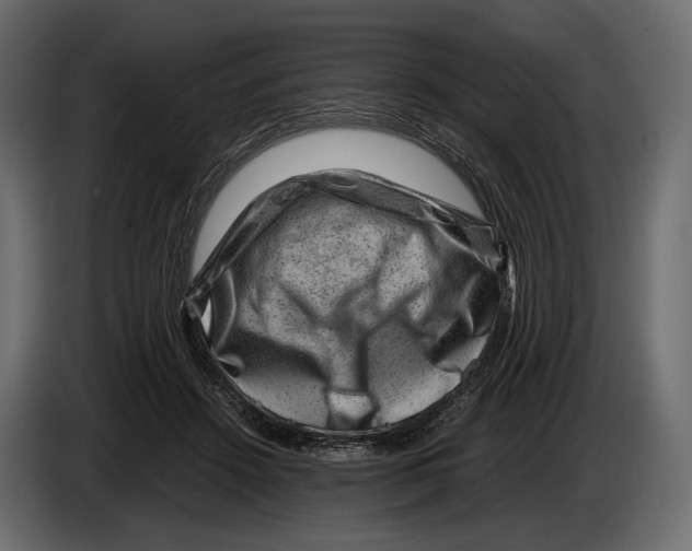 X0000082990456200703020847