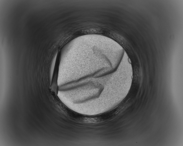 X0000082990457200703020847