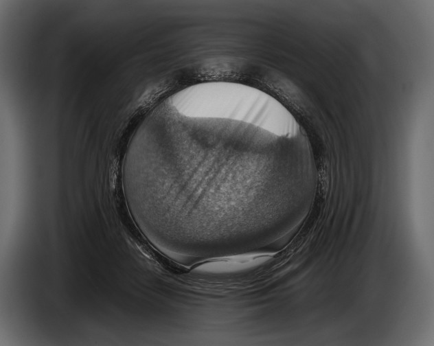 X0000082990458200703020847