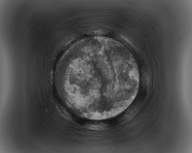 X0000082990459200703020847