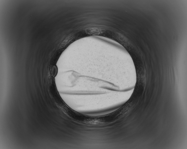 X0000082990460200703020847