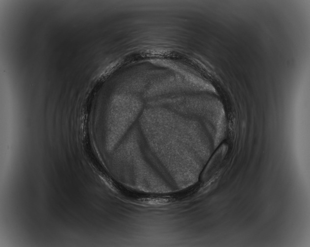 X0000082990462200703020848