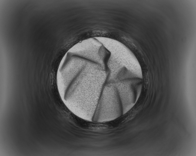 X0000082990463200703020848