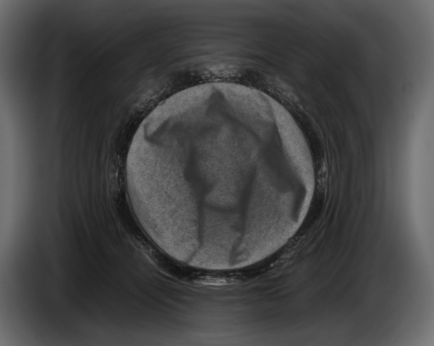 X0000082990464200703020848