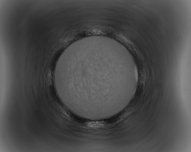 X0000082990465200703020848