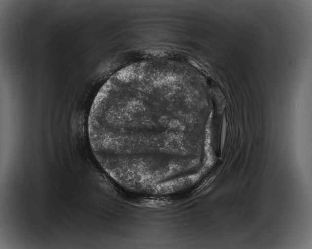 X0000082990466200703020848