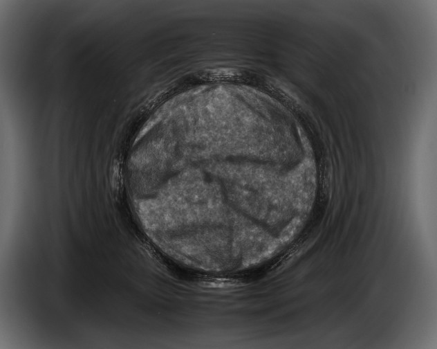 X0000082990467200703020848