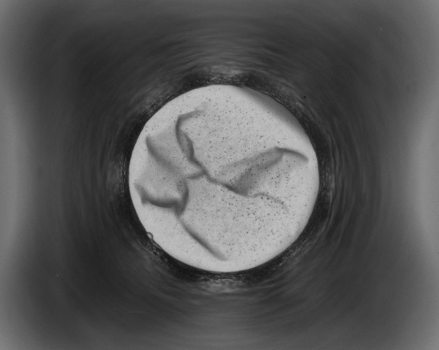 X0000082990468200703020848