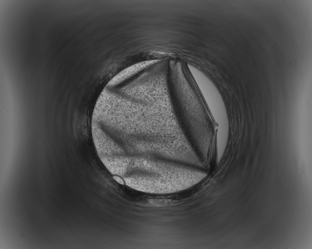 X0000082990470200703020848