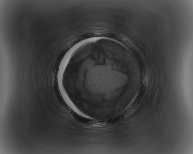 X0000082990471200703020848