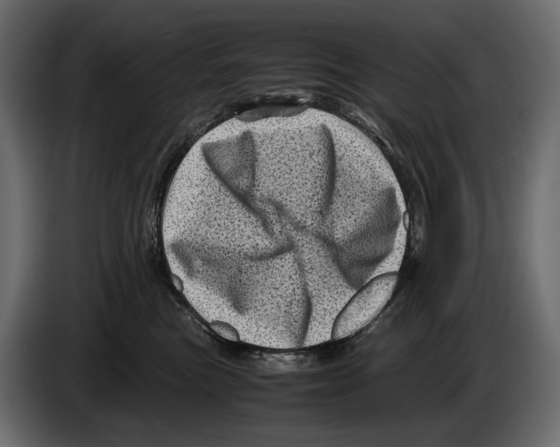 X0000082990473200703020848