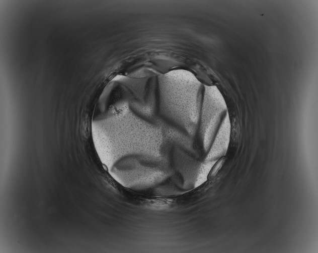 X0000082990474200703020848