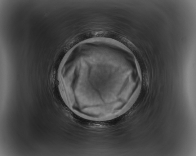 X0000082990475200703020848