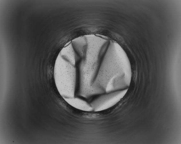 X0000082990476200703020848