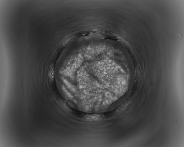 X0000082990479200703020848