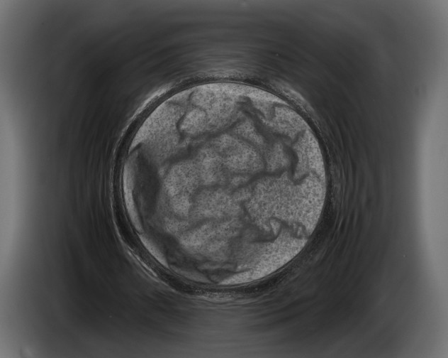 X0000082990482200703020847