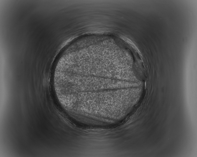 X0000082990483200703020847