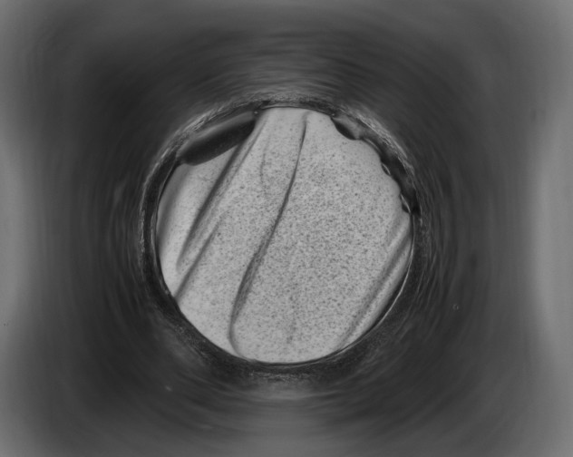 X0000082990486200703020847