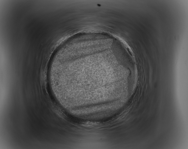 X0000082990487200703020847