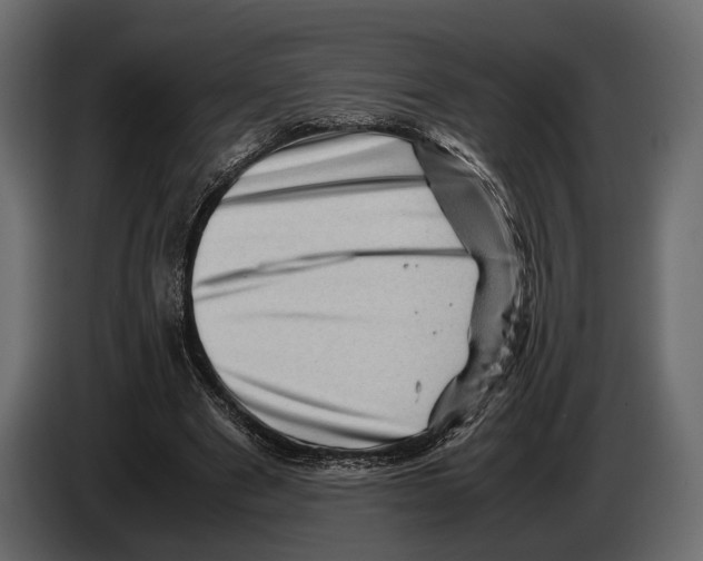 X0000082990489200703020847