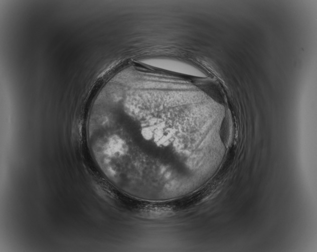 X0000082990491200703020847