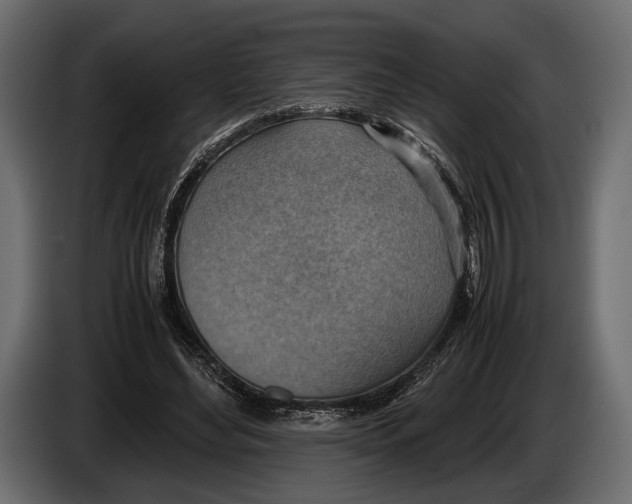 X0000082990492200703020847