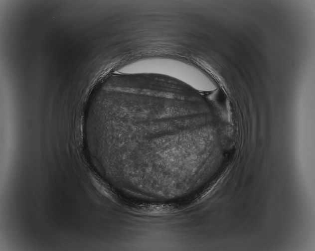 X0000082990493200703020847