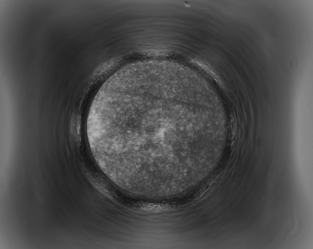 X0000082990494200703020847