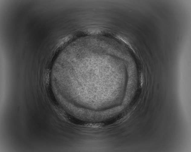 X0000082990495200703020847