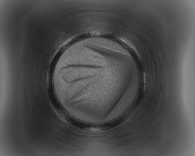 X0000082990496200703020847