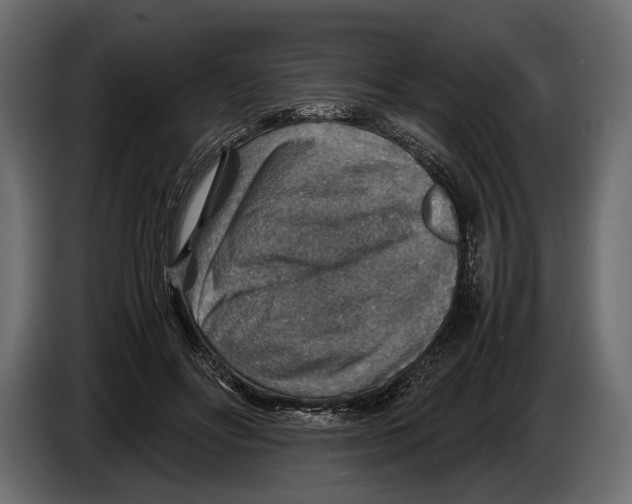 X0000082990502200703020847