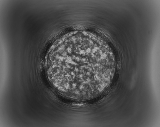 X0000082990503200703020847