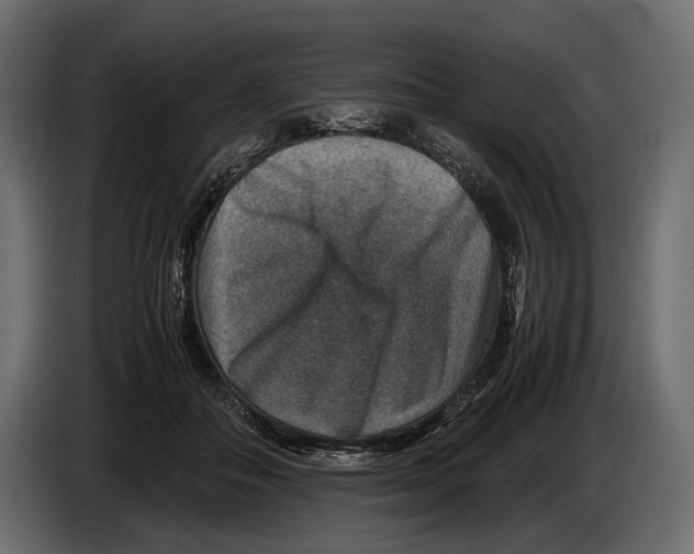 X0000082990506200703020847