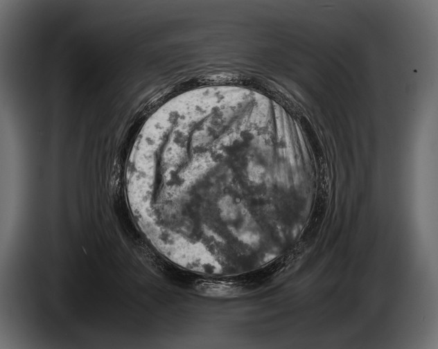 X0000082990507200703020847