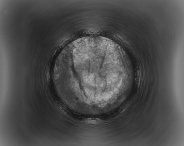 X0000082990508200703020847