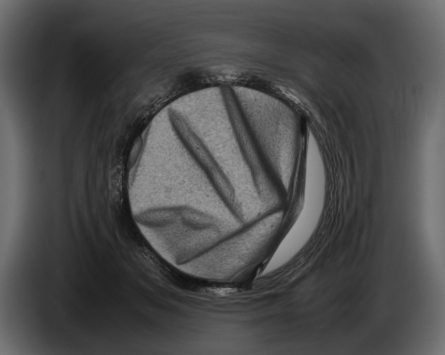 X0000082990509200703020847