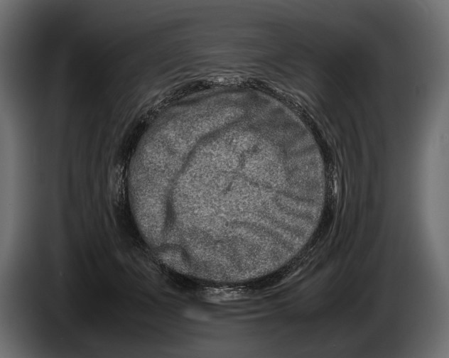 X0000082990511200703020847