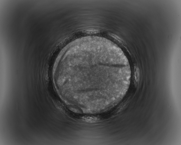 X0000082990512200703020847