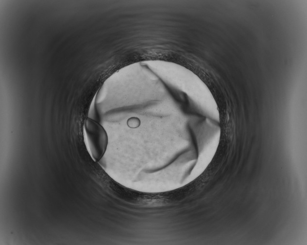 X0000082990514200703020847