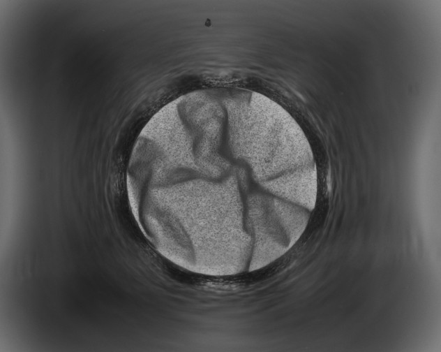 X0000082990515200703020847