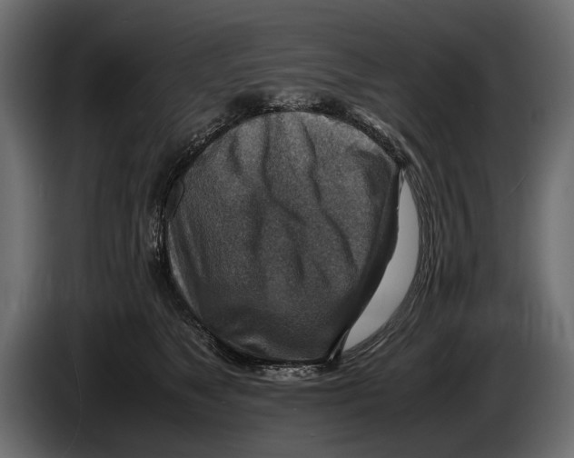 X0000082990517200703020847