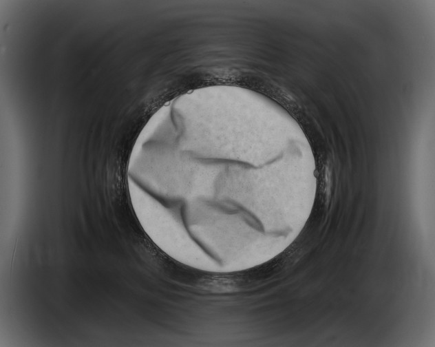 X0000082990518200703020847