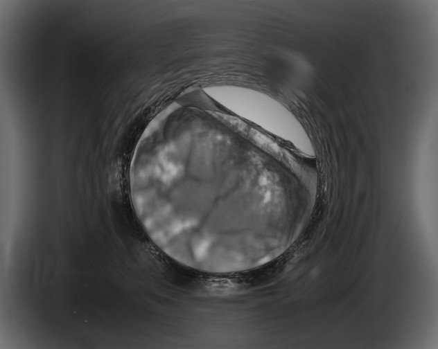 X0000082990519200703020847