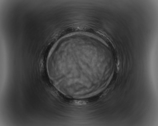 X0000082990520200703020847