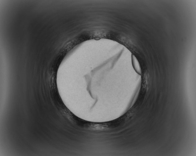 X0000082990522200703020847