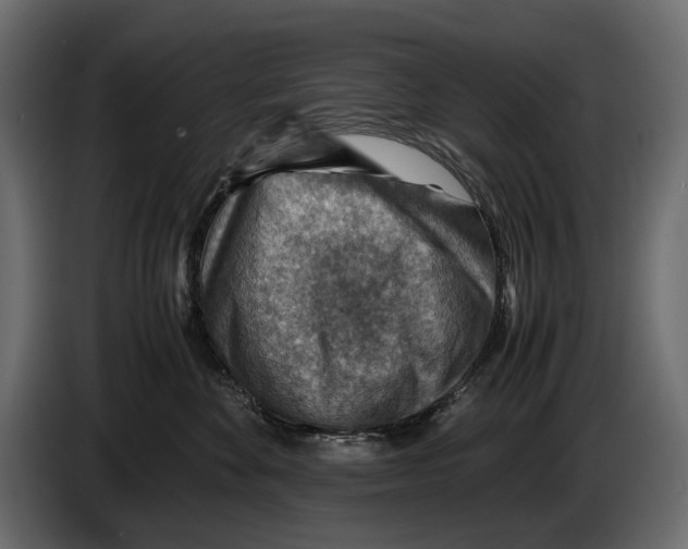 X0000082990524200703020847