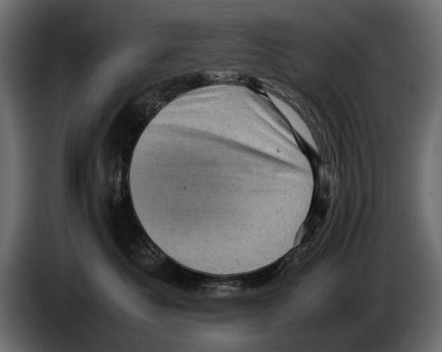 X0000082990525200703020847