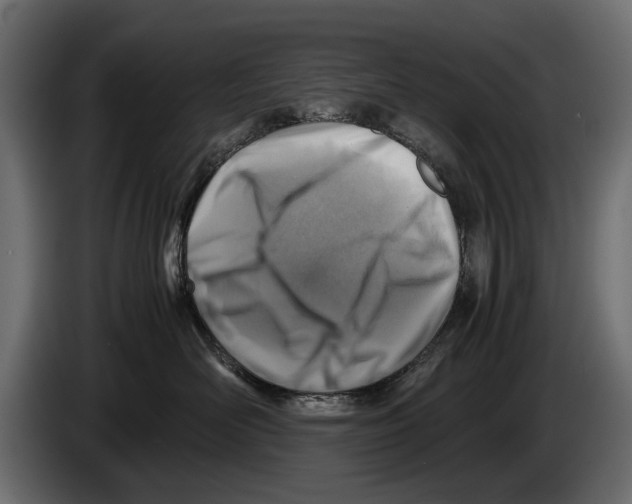 X0000082990526200703020847