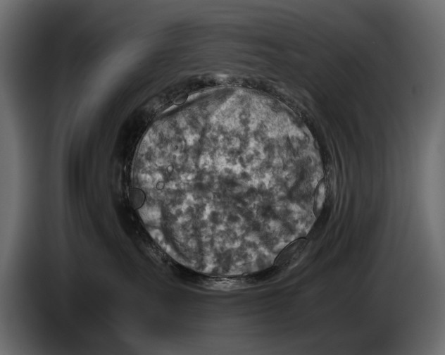 X0000082990527200703020847