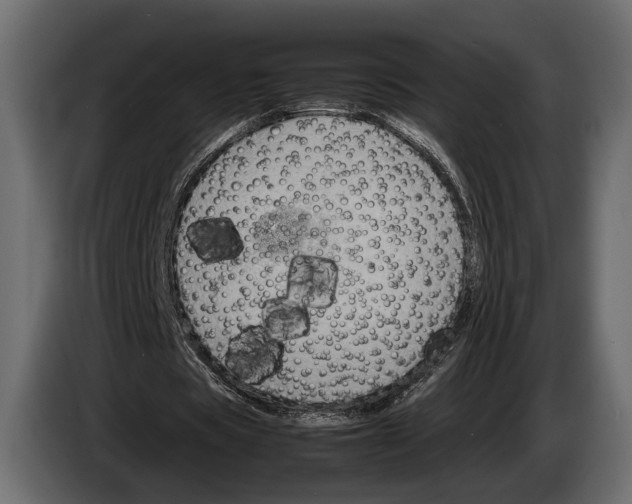 X0000082990529200703020846